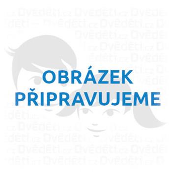 Galison Puzzle Jaro v Paříži Michael Storrings 1000 dílků