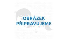 Galison Puzzle Jaro v Paříži Michael Storrings 1000 dílků